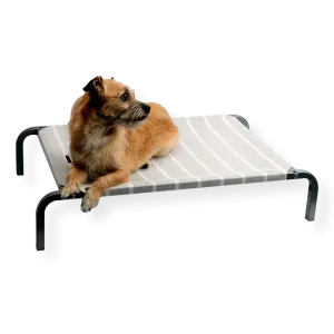 Pet One Leisure Raised Dog Bed Grey & White Medium