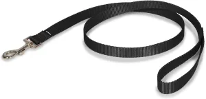 PetSafe Nylon Dog Leash  Strong, Durable, Traditional Style Leash with Easy to Use Bolt Snap for Small, Medium and Large Dogs  3/4" x 4', Black