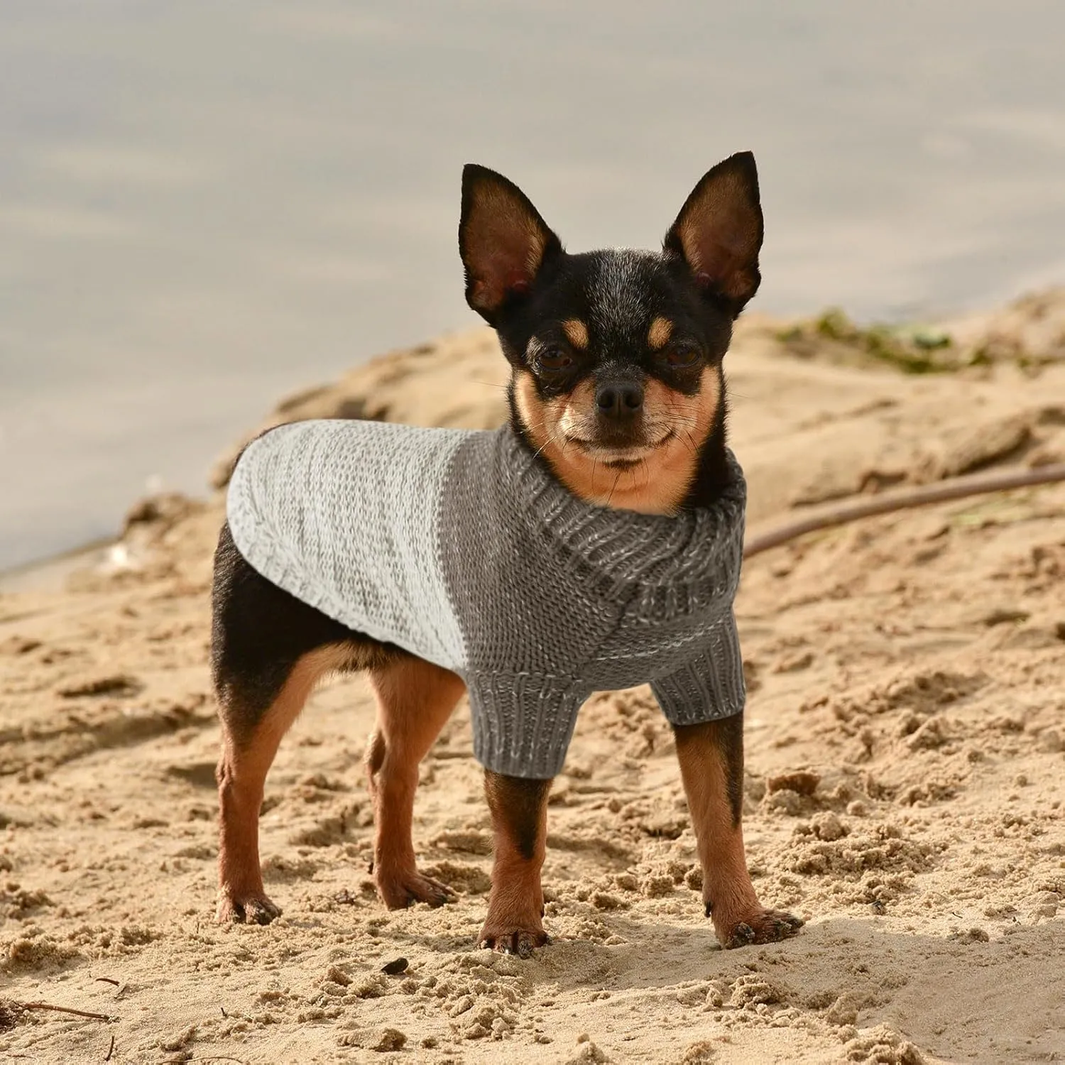 Queenmore Knitted Pullover Dog Sweater, Turtleneck Pet Cat Sweater, Cold Weather Puppy Clothes Stitching Knitwear with Leash Hole for Small Medium DogsGrey,XS