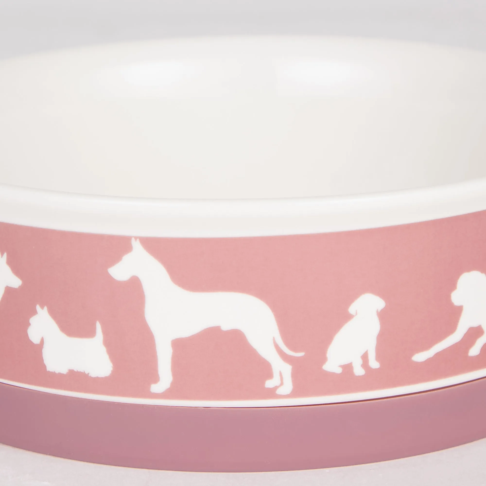 Rose Dog Show Pet Bowl Set/2, Small - 3/4 C Capacity