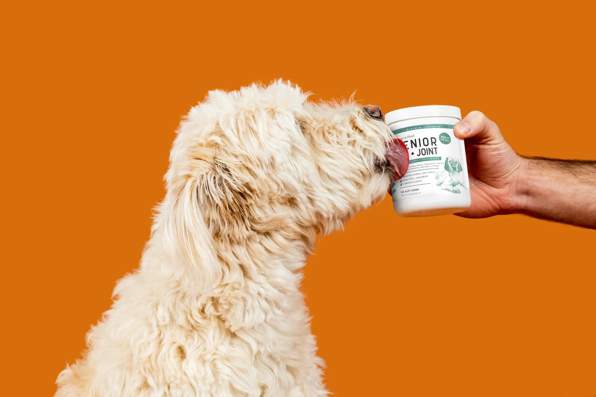 Senior Hip and Joint - Dog Vitamins / 120 Ct