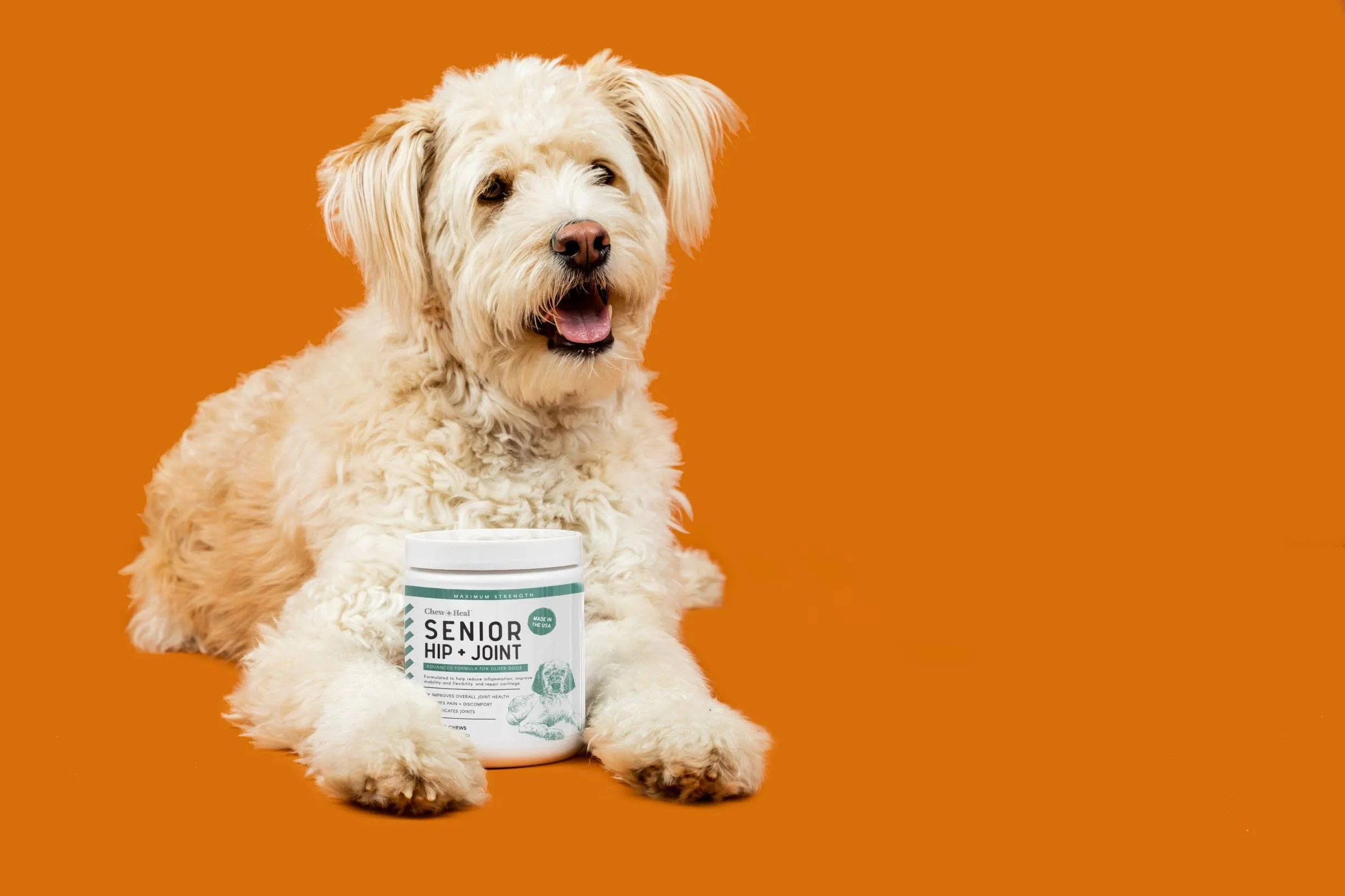 Senior Hip and Joint - Dog Vitamins / 120 Ct
