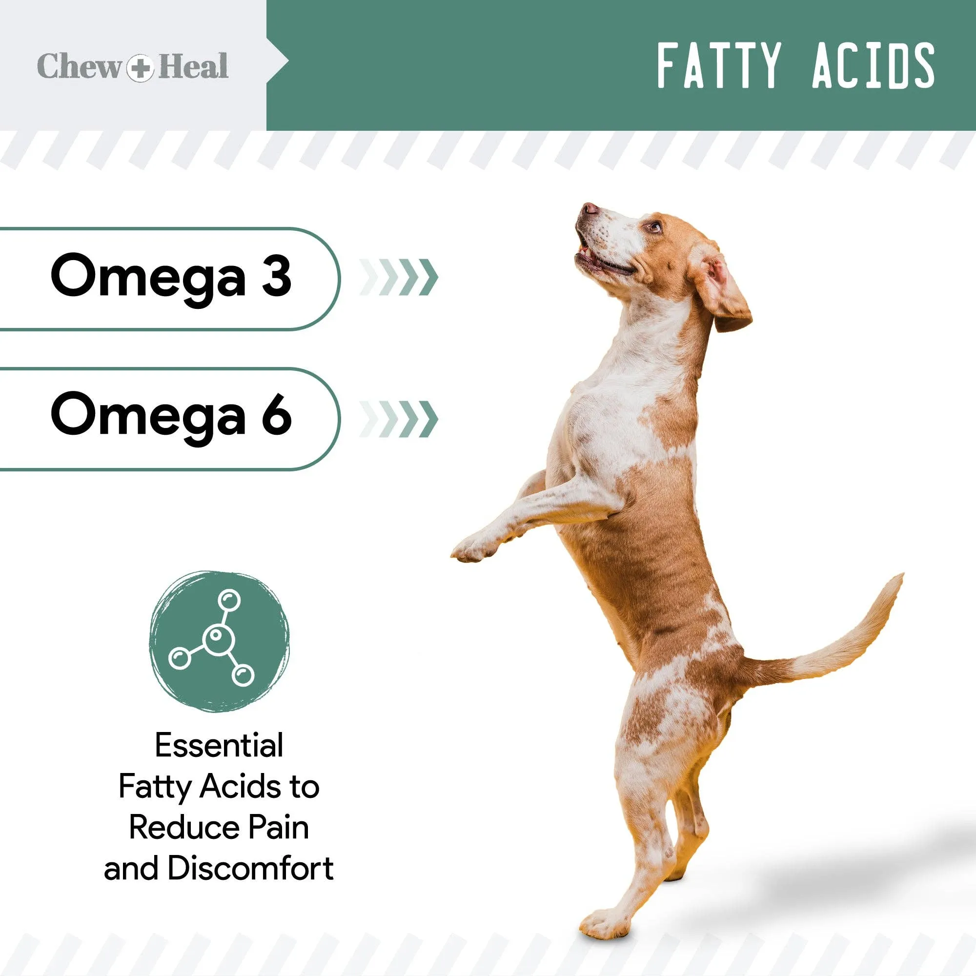 Senior Hip and Joint - Dog Vitamins / 120 Ct
