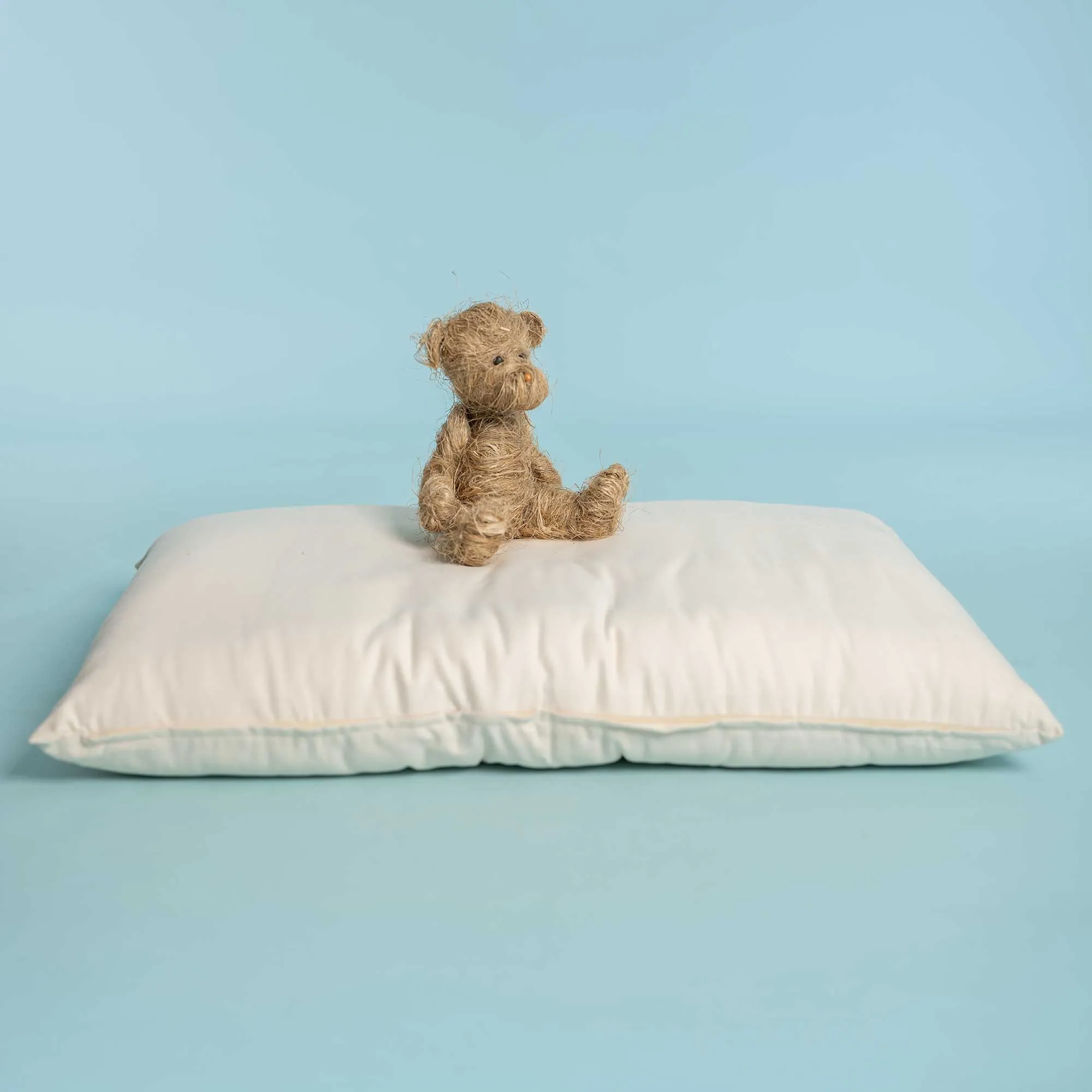 SESAME 100% Organic Cotton Dog Cat Pet Bed (4" High) (Grown & Handmade in USA)