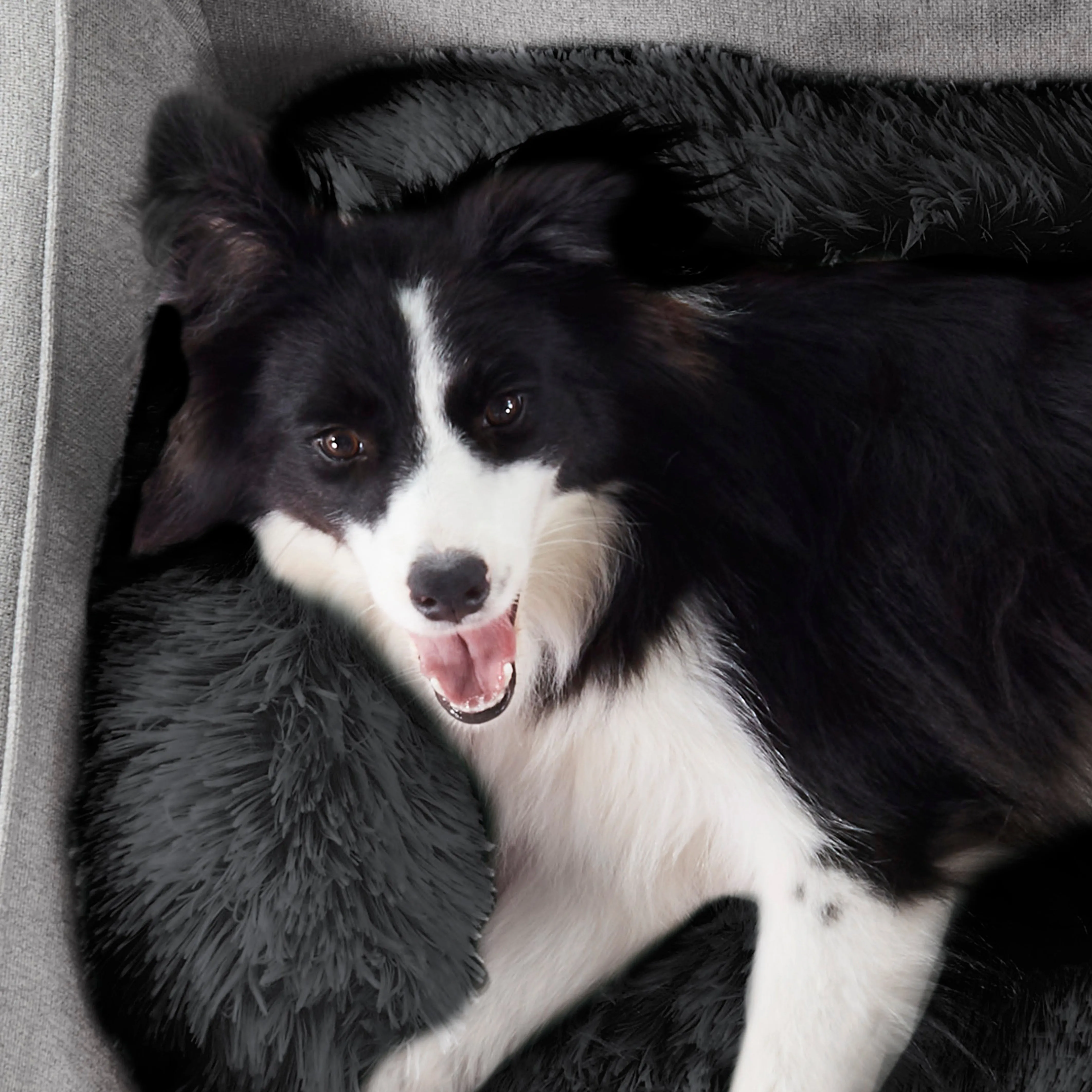 Shaggy Faux Fur Bolster Sofa Protector Pet Bed - Charcoal