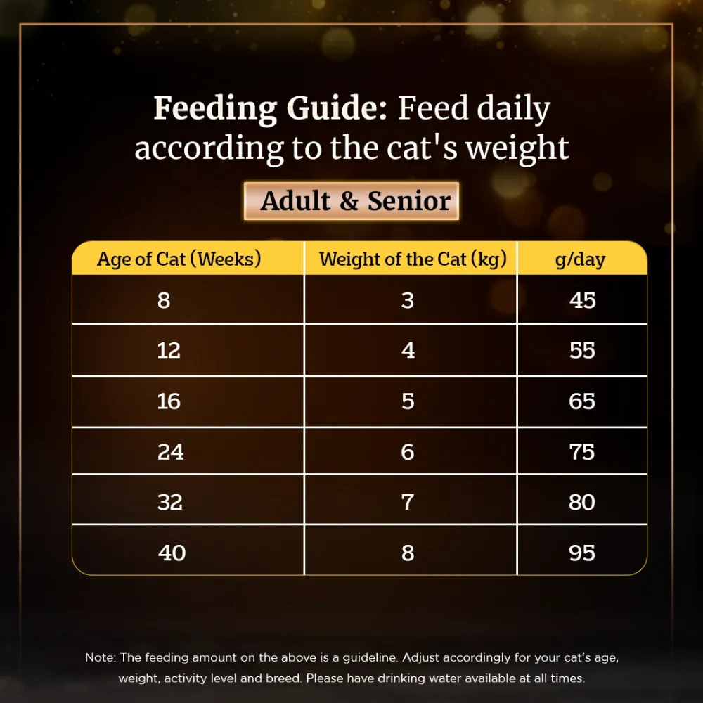Sheba Complete Nutrition Succulent Chicken Breast In Gravy Cat Wet Food and Chicken Flavour Irresistible Cat Dry Food Combo