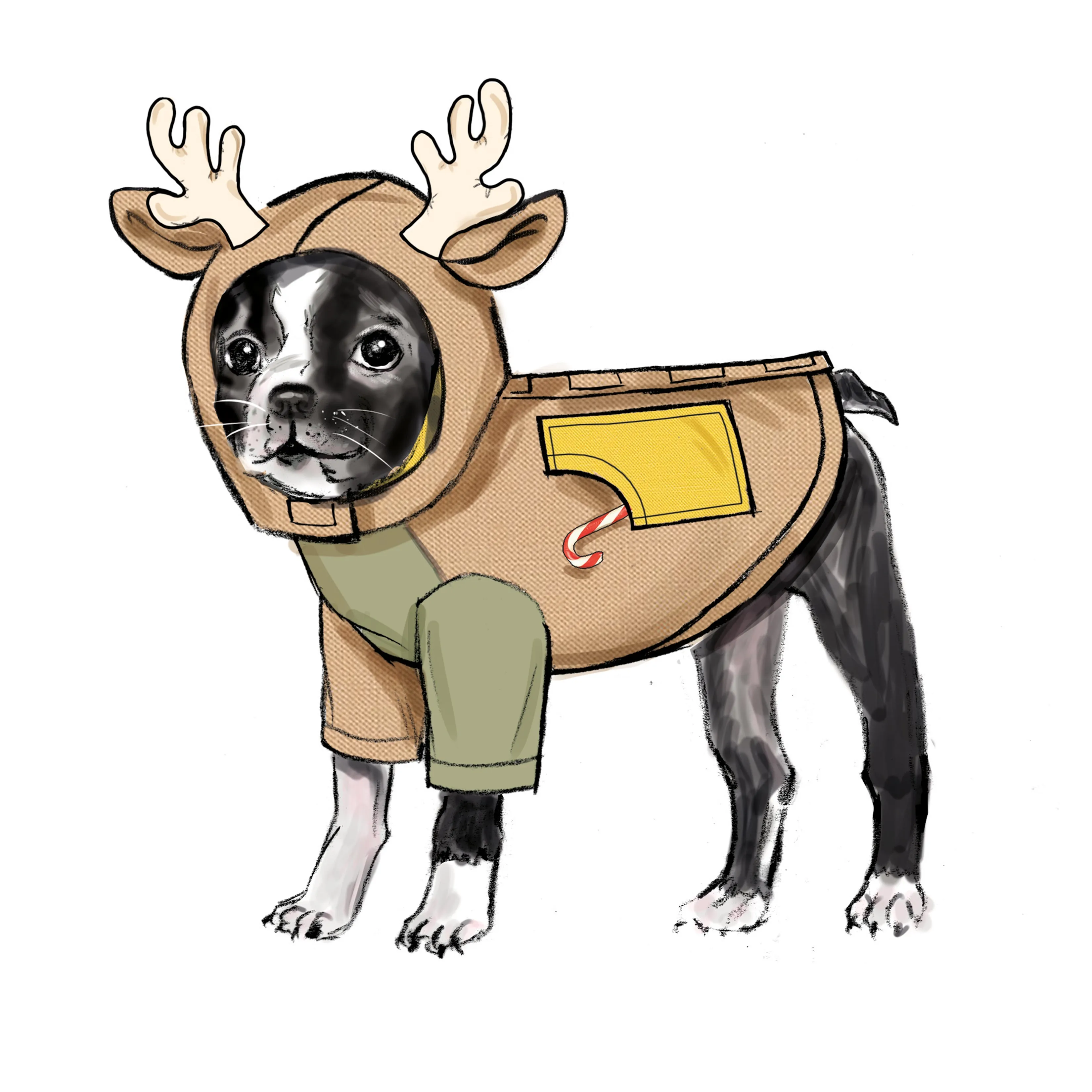Simplicity pattern 9663 Pet Coats with Optional Hoods and Cowls