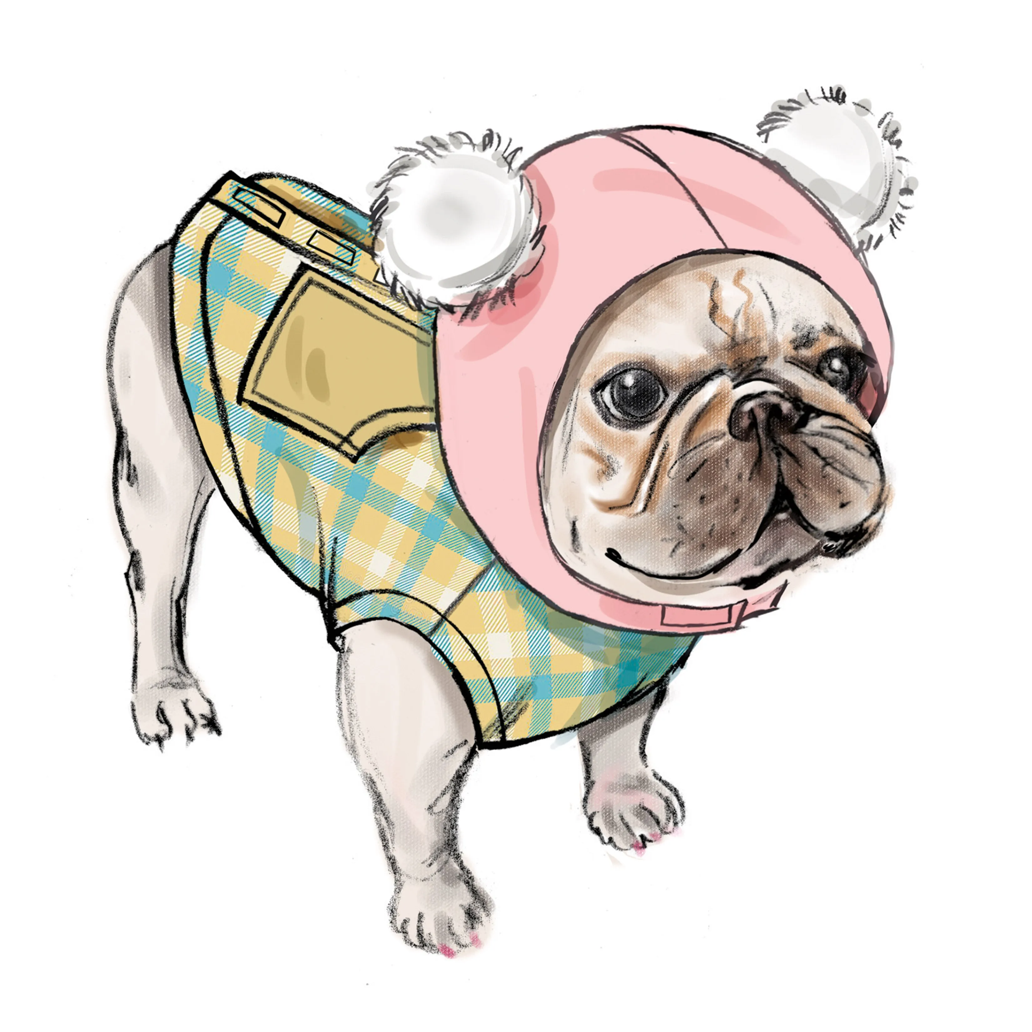Simplicity pattern 9663 Pet Coats with Optional Hoods and Cowls