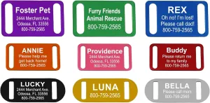 Slide-On Pet ID Tag | Collar Tag | 3 Sizes & 9 Colors to Choose from (Black, Small)