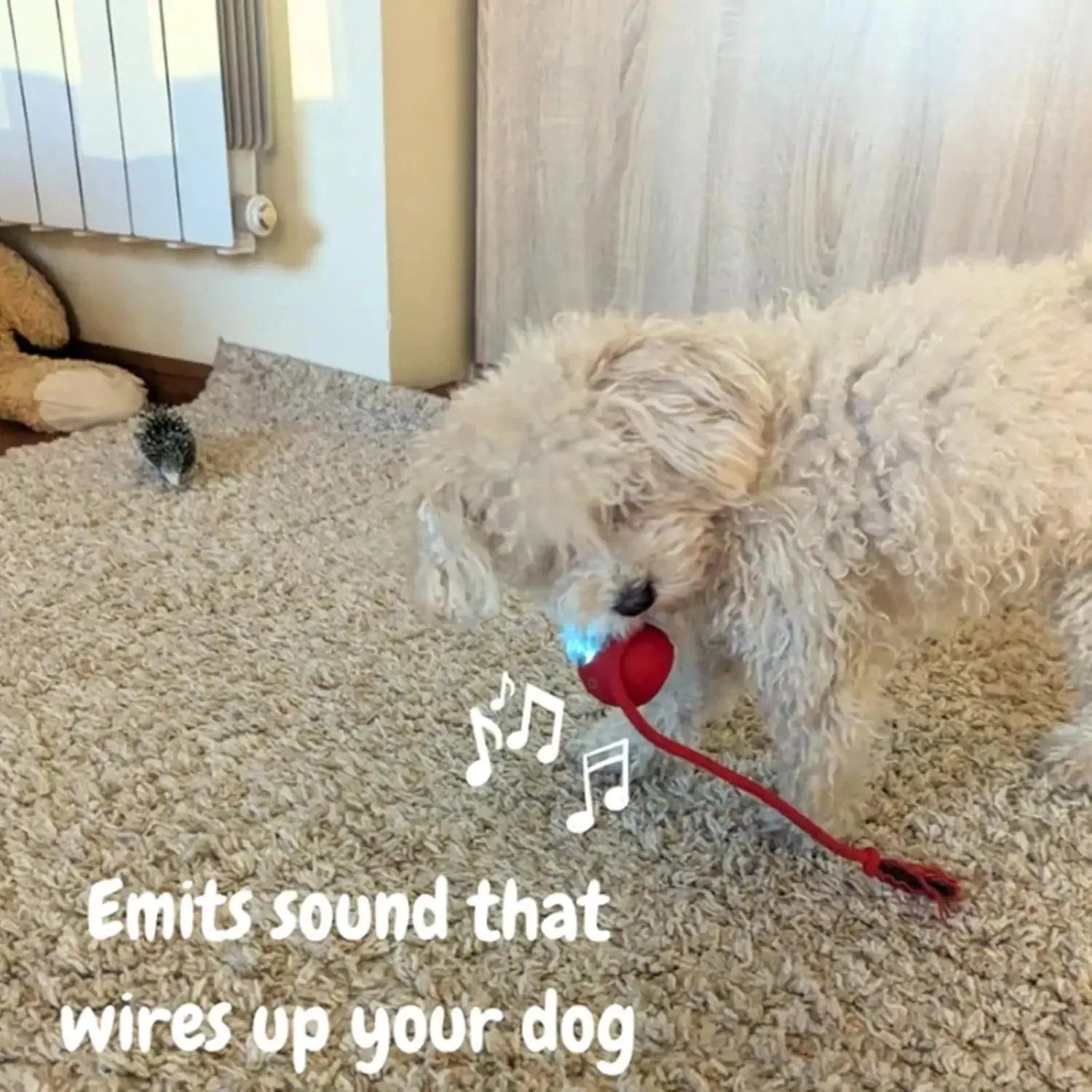 Smart Interactive Dog and Cat Ball – Rechargeable Pet Toy for Endless Fun