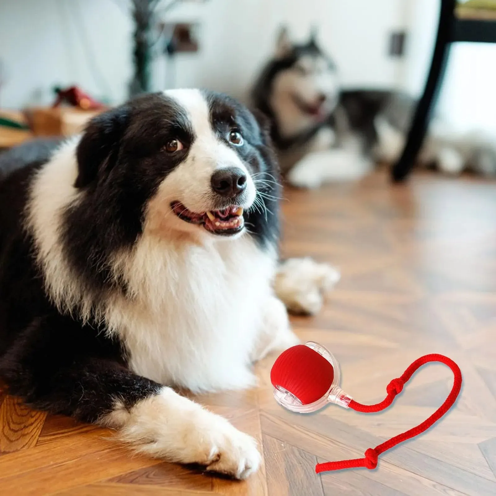 Smart Interactive Dog and Cat Ball – Rechargeable Pet Toy for Endless Fun