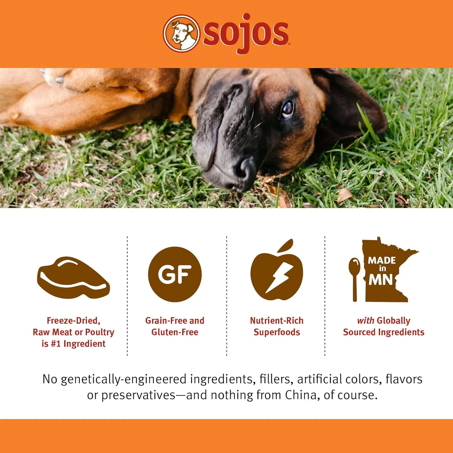 Sojos Complete Beef Recipe Dehydrated Dog Food, 7 lb, Yellow