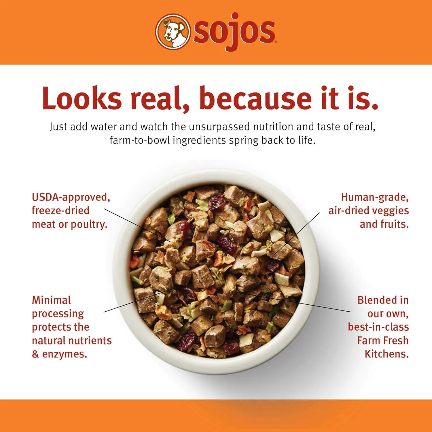 Sojos Complete Beef Recipe Dehydrated Dog Food, 7 lb, Yellow