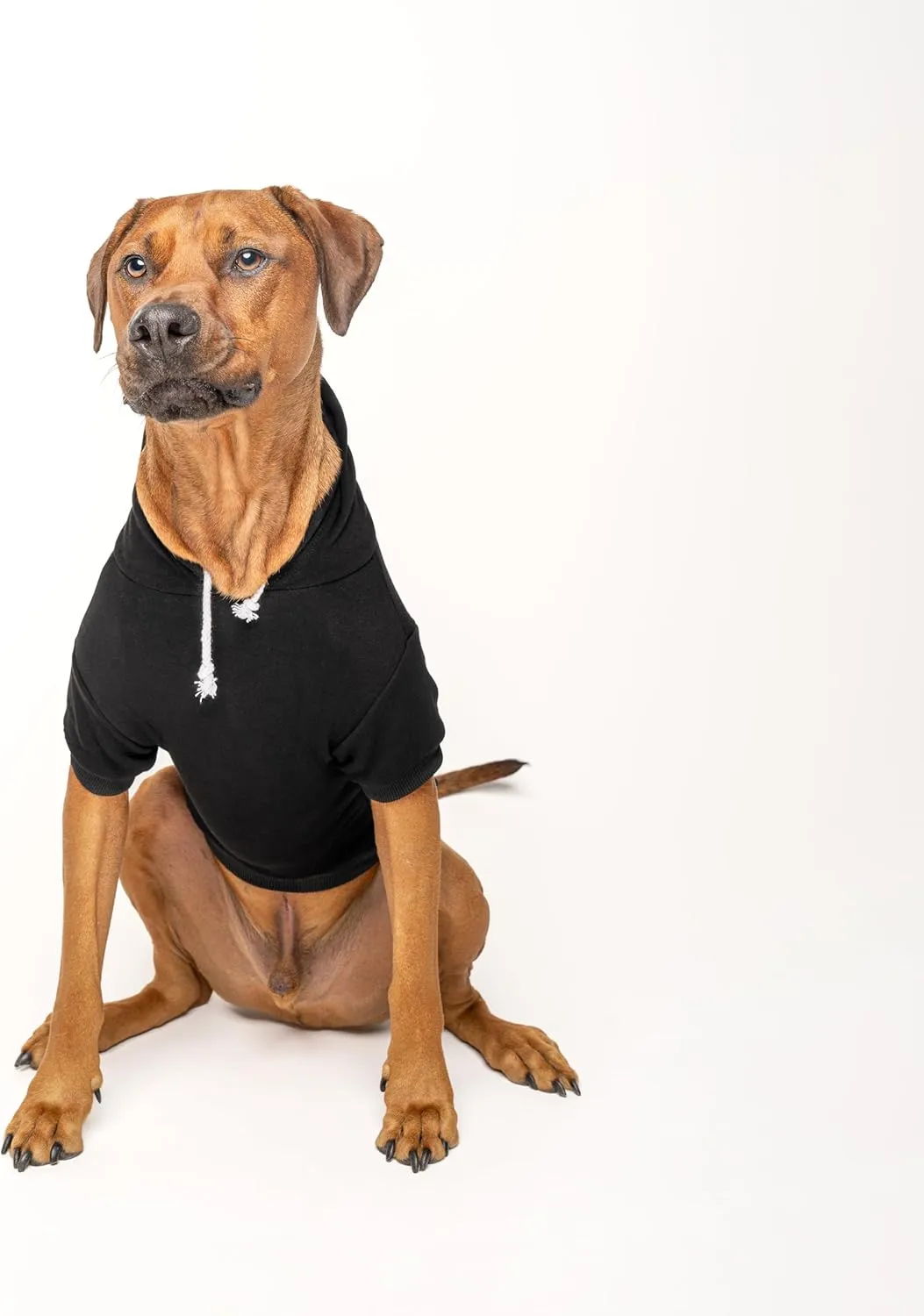 Two Moms are Better Than One Mother's Day Dog Hoodie | Fleece Lined |Leash Hole| Pride Day | LGBTQ  | Rainbow | Parade|Black, Medium 322