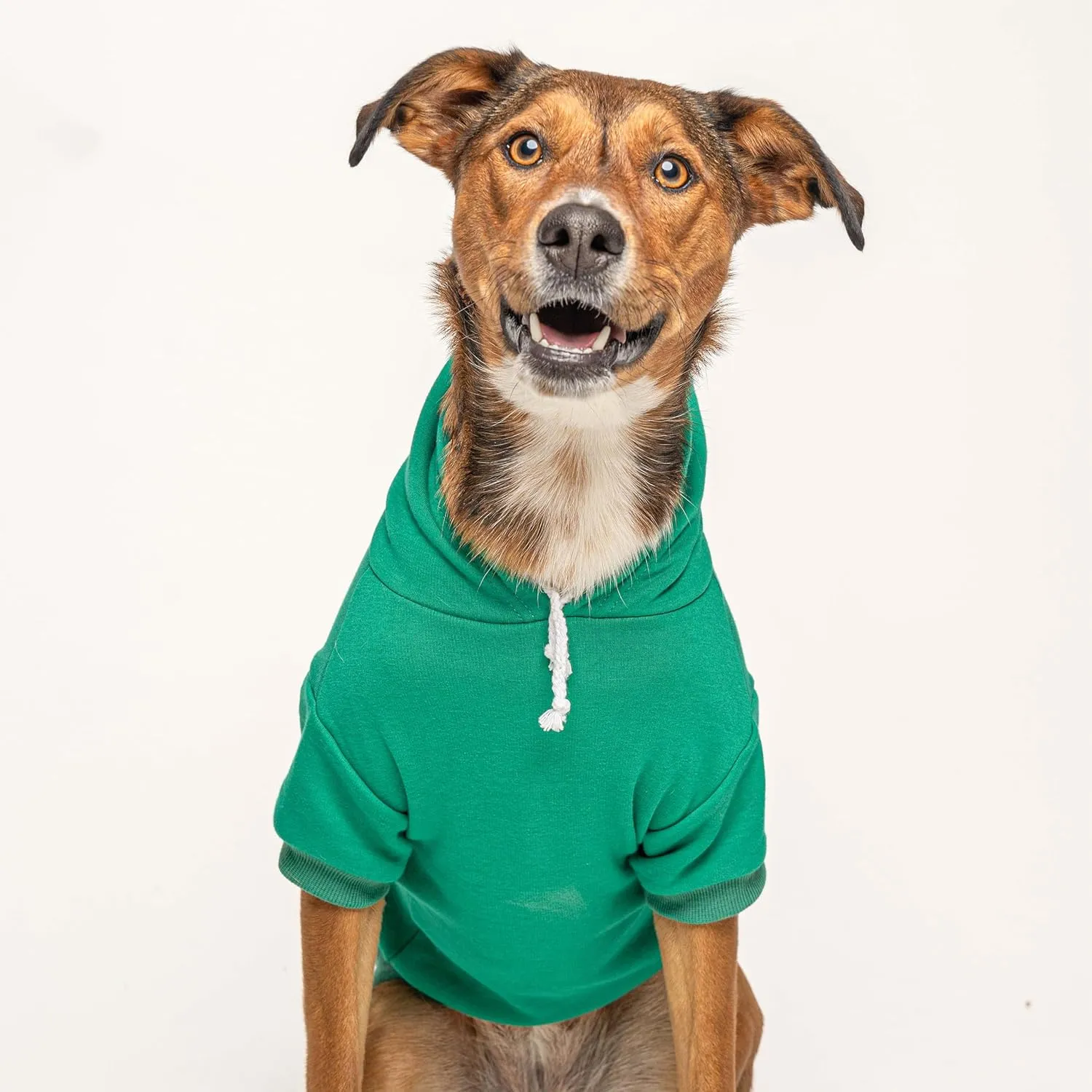 Two Moms are Better Than One Mother's Day Dog Hoodie | Fleece Lined |Leash Hole| Pride Day | LGBTQ  | Rainbow | Parade|Green, Medium 322