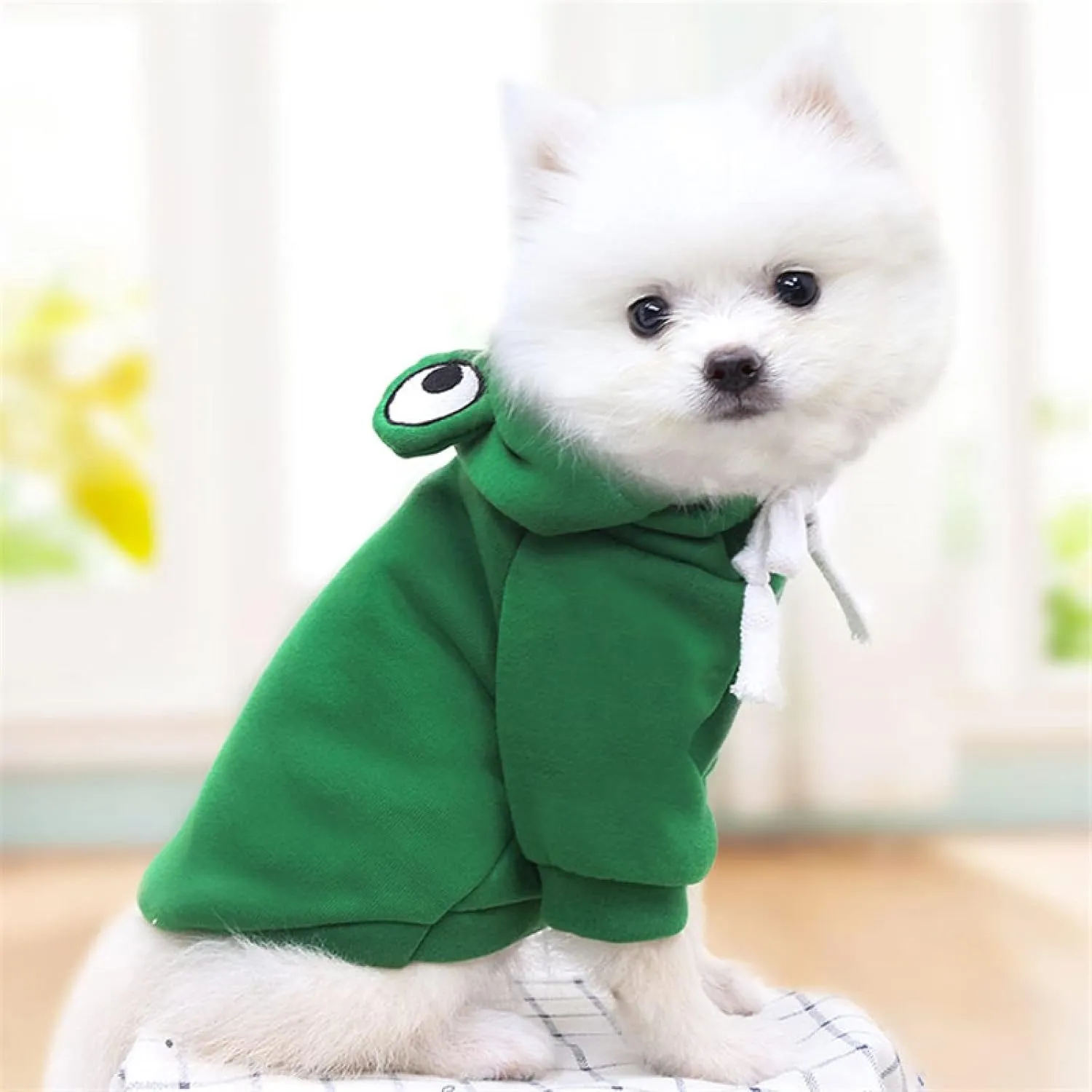 Warm Dog Winter Clothes Cute Fruit Dog Coat Hoodies Fleece Pet Dogs Costume Jacket for French Bulldog Chihuahua Ropa para Perro(Green,M)