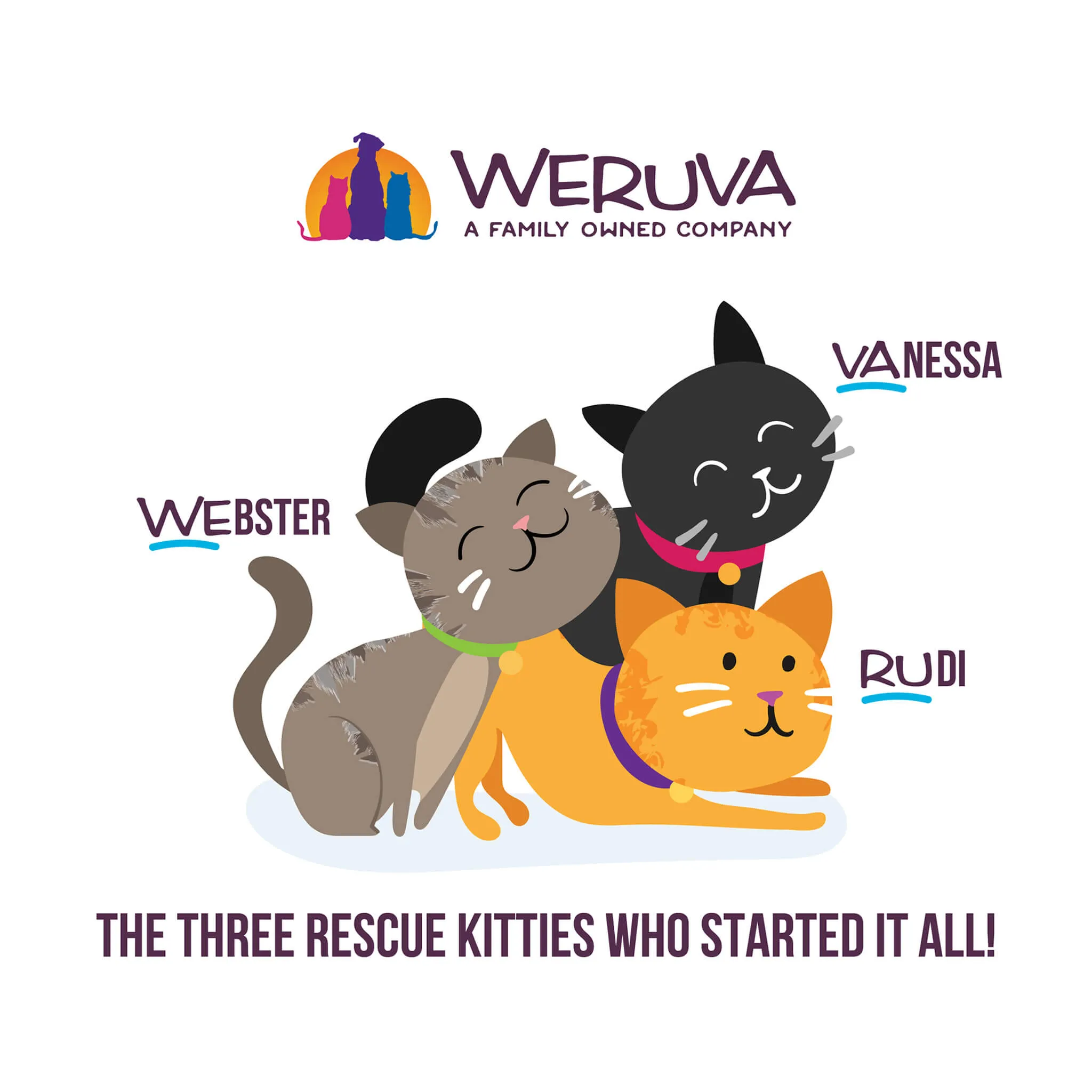 Weruva Wx Low Phosphorus Cat Food
