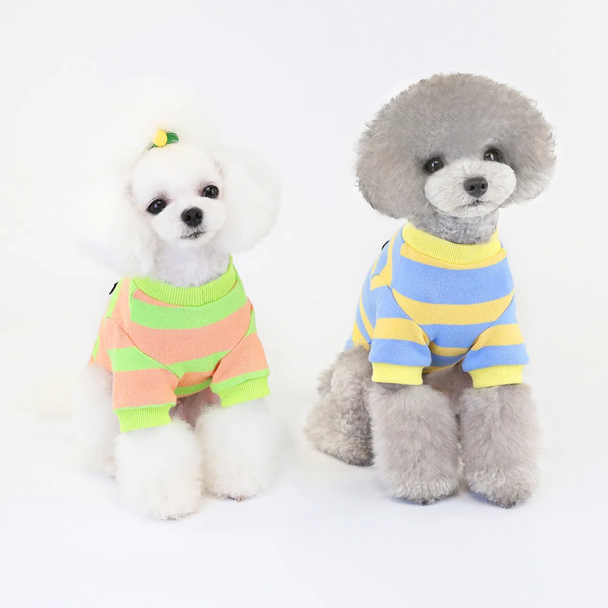 Winter sweater puppy cat pet clothing